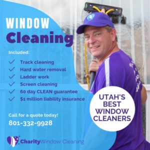 Window Cleaning
